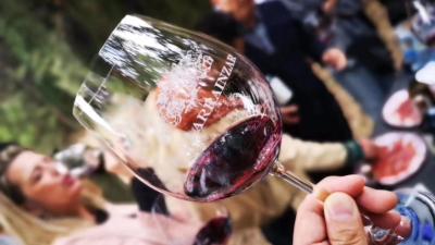 Picnic in front of the Pago de Larrainzar vineyard